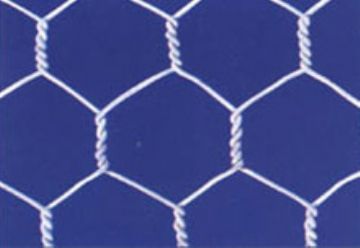 Hexagonal Mesh